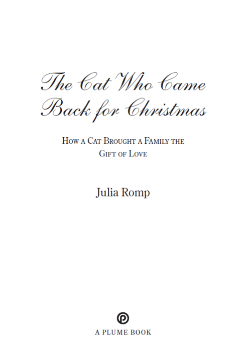Cover image for book The Cat Who Came Back for Christmas