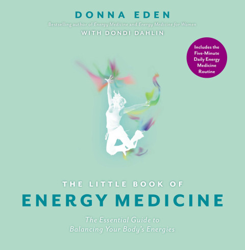 Cover image for book The Little Book of Energy Medicine
