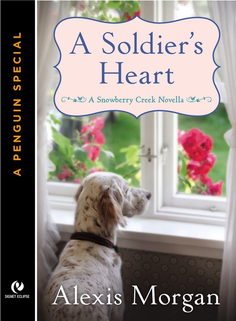 Cover image for book A Soldier's Heart
