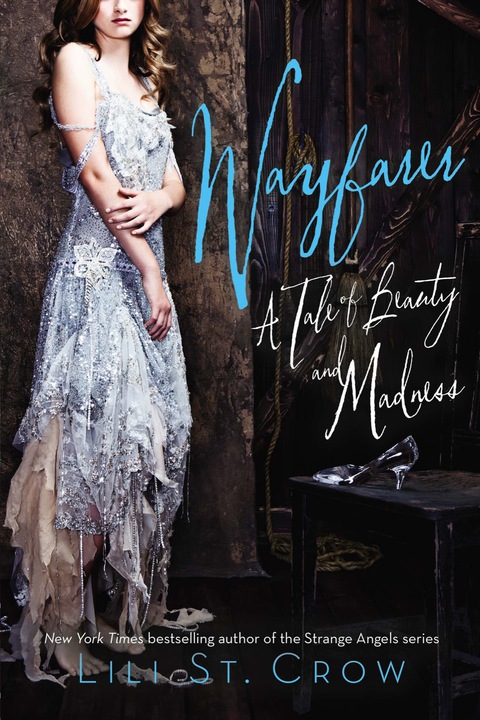 Cover image for book Wayfarer
