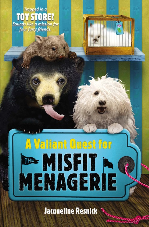 Cover image for book A Valiant Quest for the Misfit Menagerie