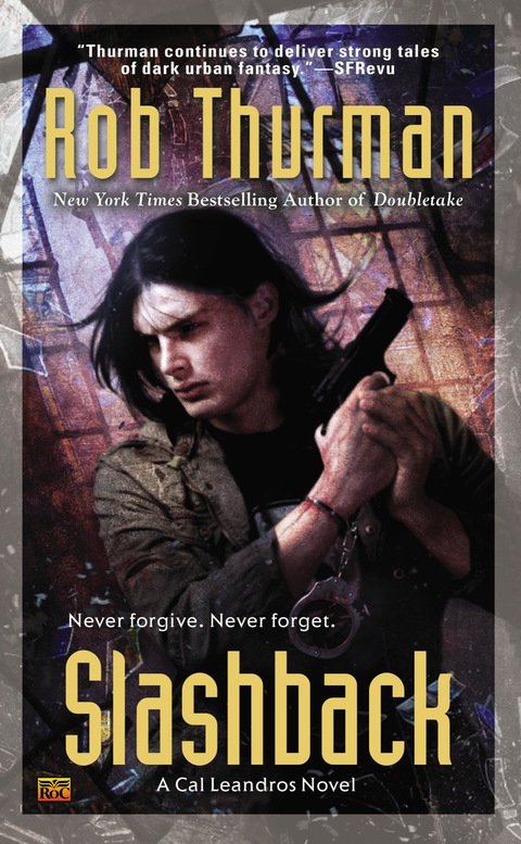 Cover image for book Slashback