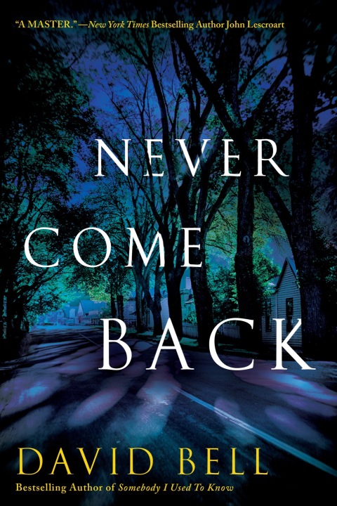 Cover image for book Never Come Back
