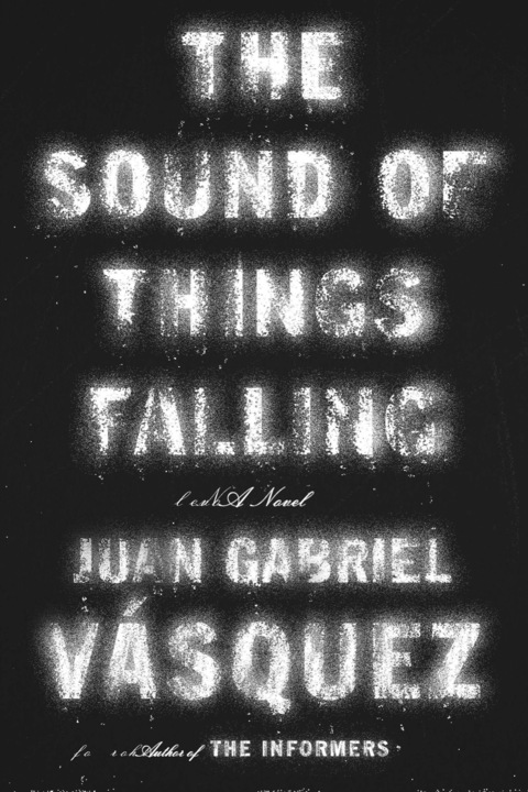 Cover image for book The Sound of Things Falling