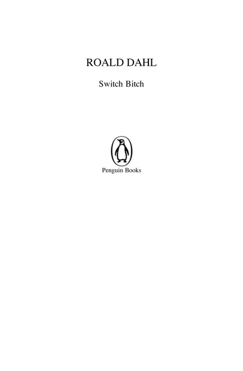 Cover image for book Switch Bitch