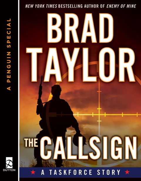 Cover image for book The Callsign