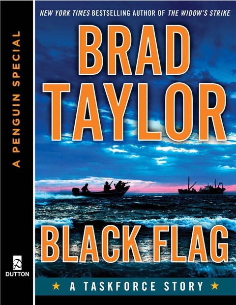 Cover image for book Black Flag
