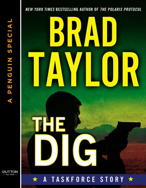 Cover image for book The Dig