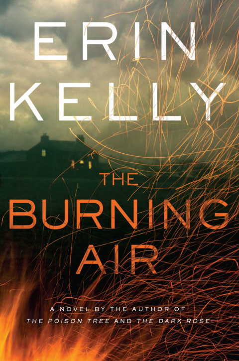 Cover image for book The Burning Air