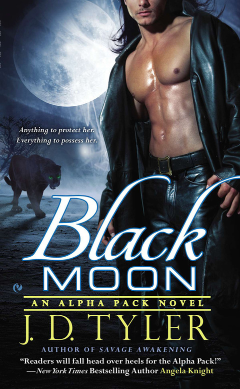 Cover image for book Black Moon