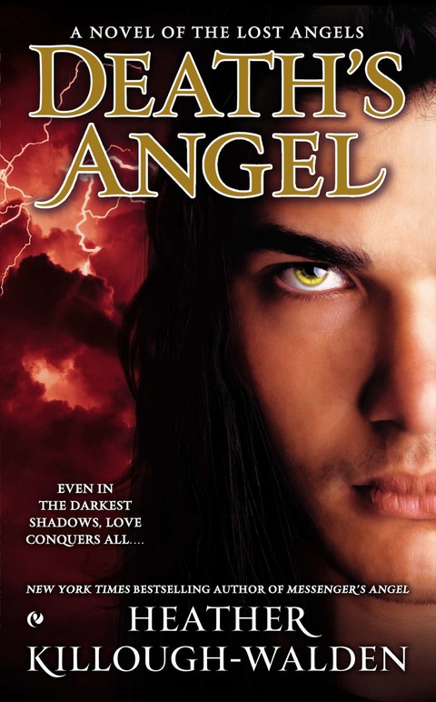 Cover image for book Death's Angel