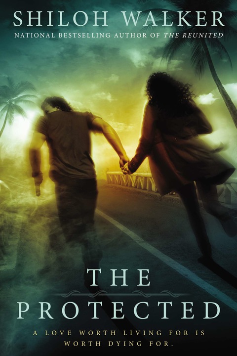 Cover image for book The Protected