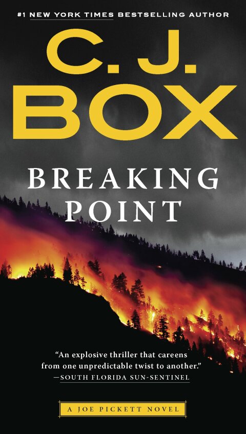 Cover image for book Breaking Point