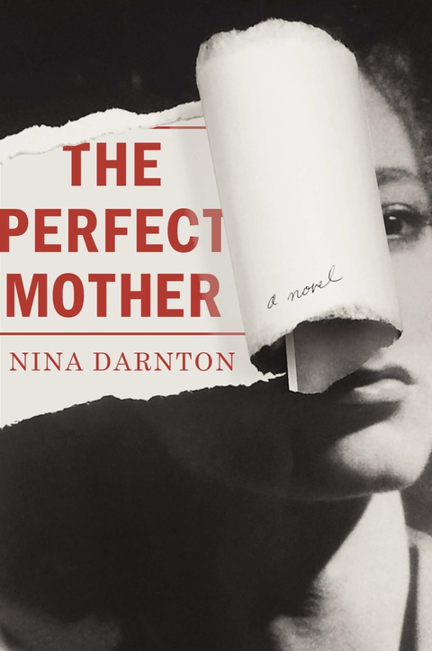 Cover image for book The Perfect Mother