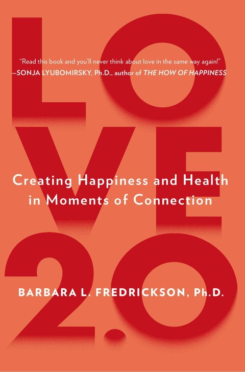 Cover image for book Love 2.0