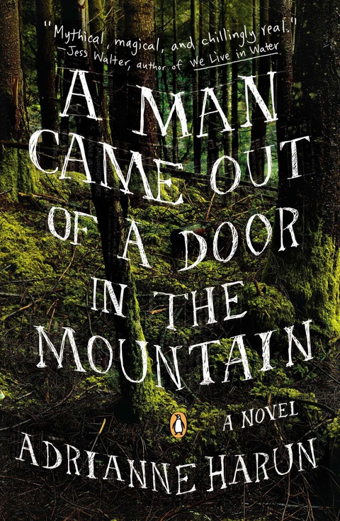 Cover image for book A Man Came Out of a Door in the Mountain