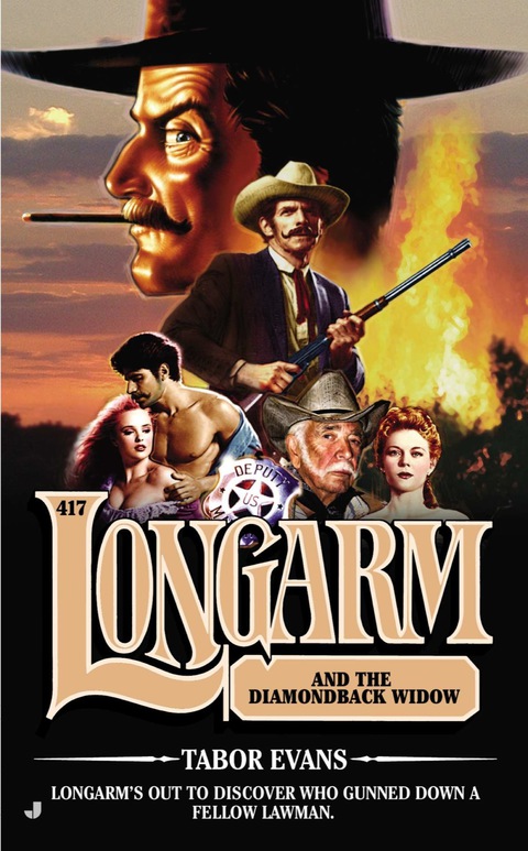 Cover image for book Longarm 417