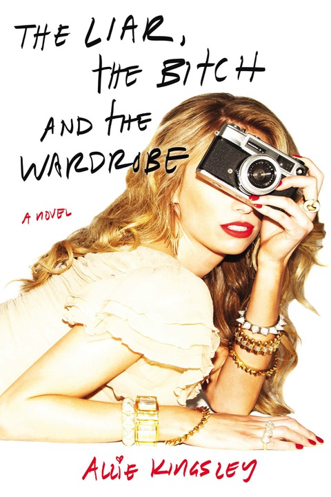 Cover image for book The Liar, the Bitch and the Wardrobe