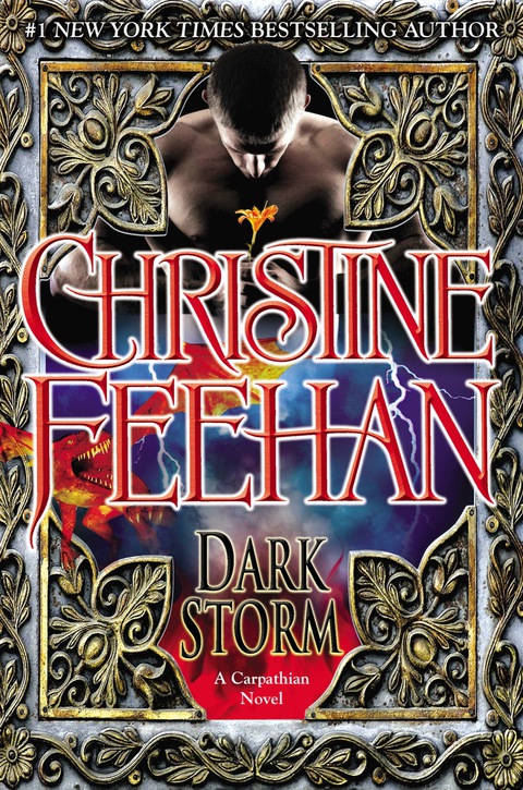 Cover image for book Dark Storm