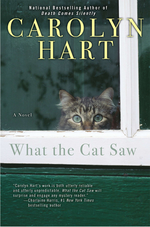Cover image for book What the Cat Saw