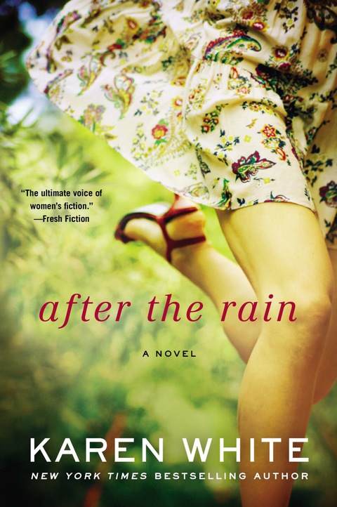 Cover image for book After the Rain