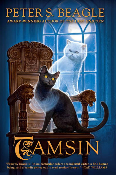 Cover image for book Tamsin