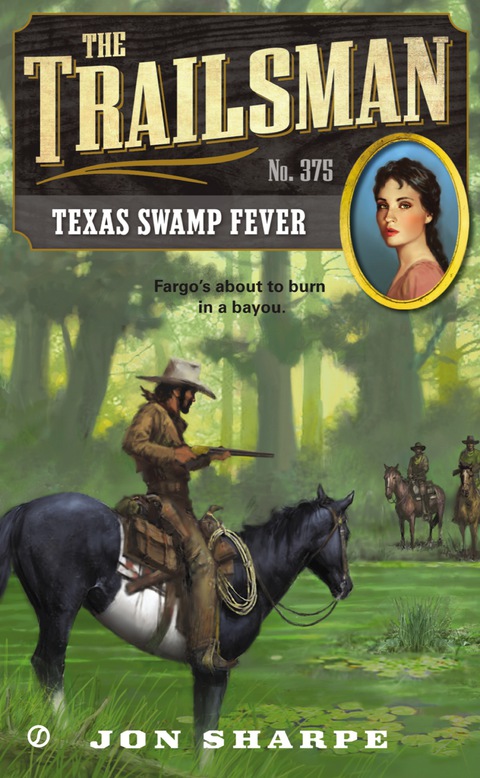 Cover image for book The Trailsman #375