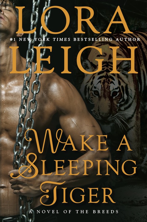 Cover image for book Wake a Sleeping Tiger