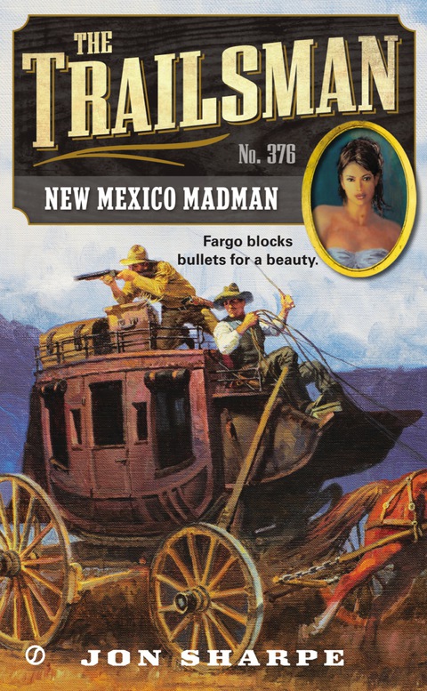 Cover image for book The Trailsman #376