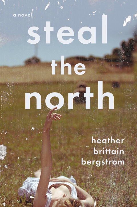 Cover image for book Steal the North
