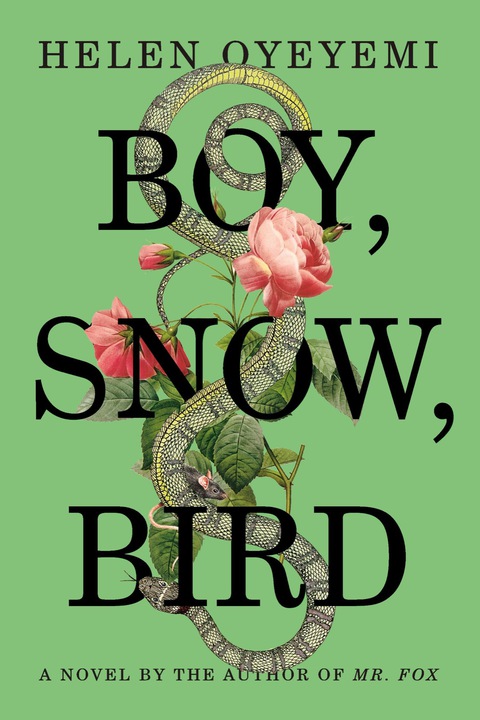 Cover image for book Boy, Snow, Bird