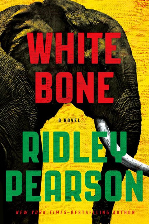Cover image for book White Bone