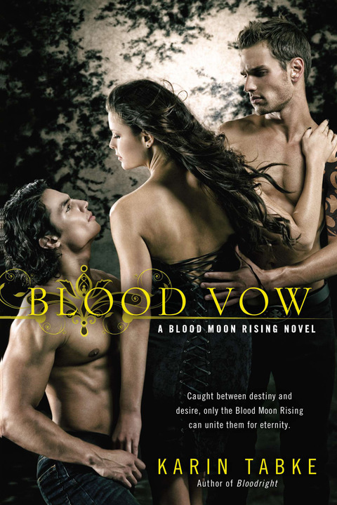 Cover image for book Blood Vow