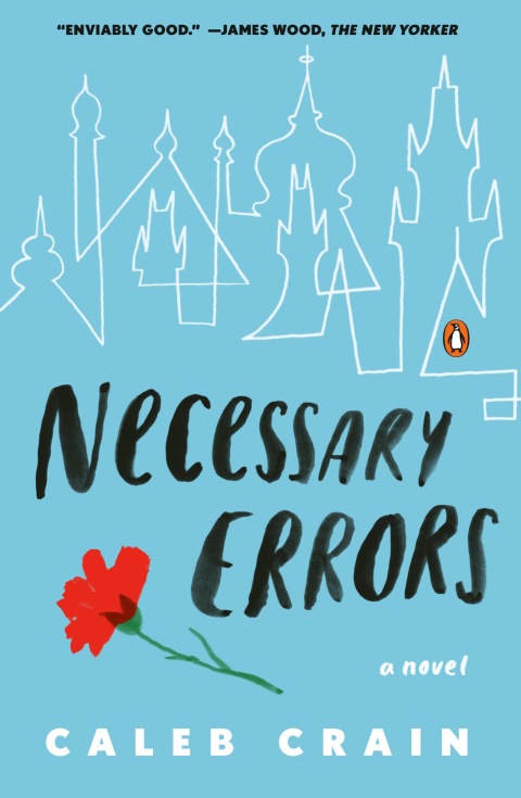 Cover image for book Necessary Errors