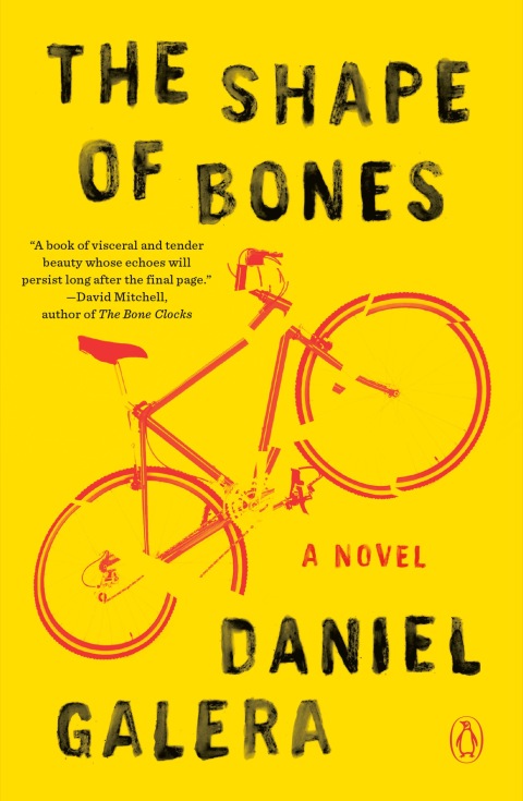 Cover image for book The Shape of Bones