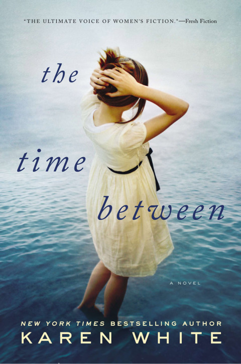 Cover image for book The Time Between