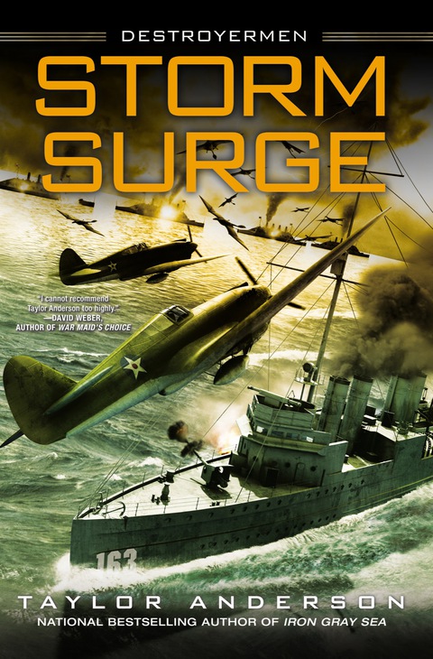Cover image for book Storm Surge