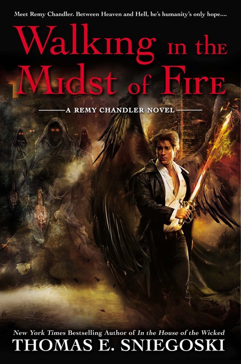 Cover image for book Walking In the Midst of Fire