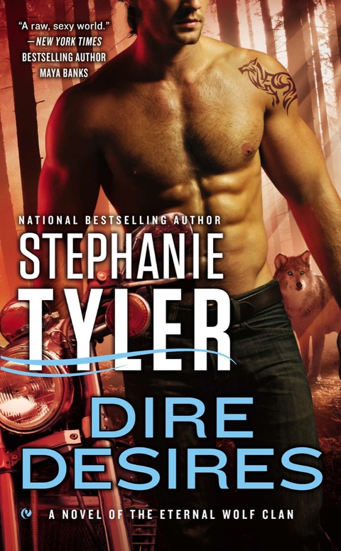 Cover image for book Dire Desires