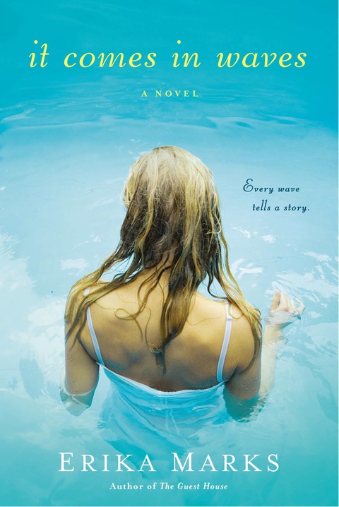Cover image for book It Comes in Waves
