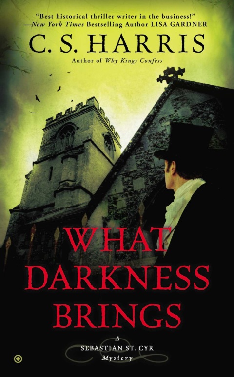 Cover image for book What Darkness Brings