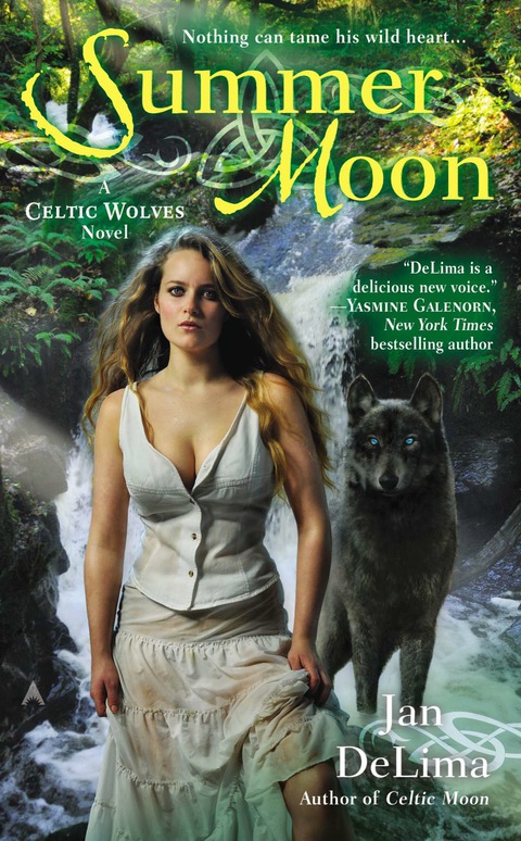 Cover image for book Summer Moon