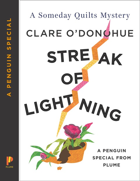 Cover image for book Streak of Lightning