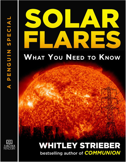 Cover image for book Solar Flares
