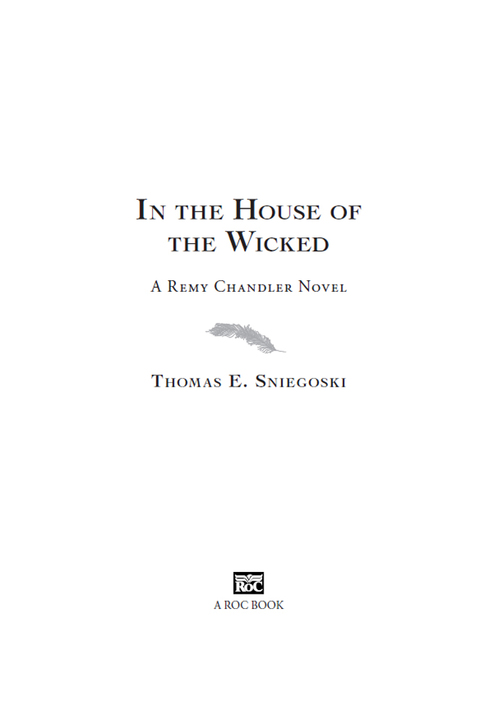 Cover image for book In the House of the Wicked