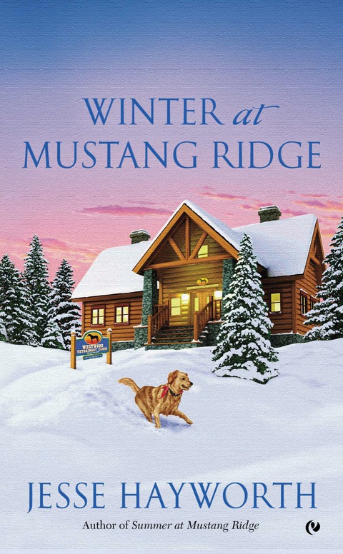 Cover image for book Winter at Mustang Ridge