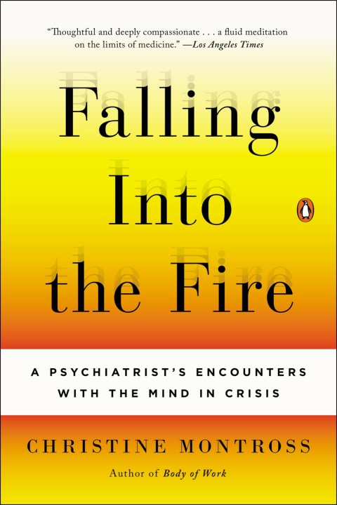 Cover image for book Falling Into the Fire