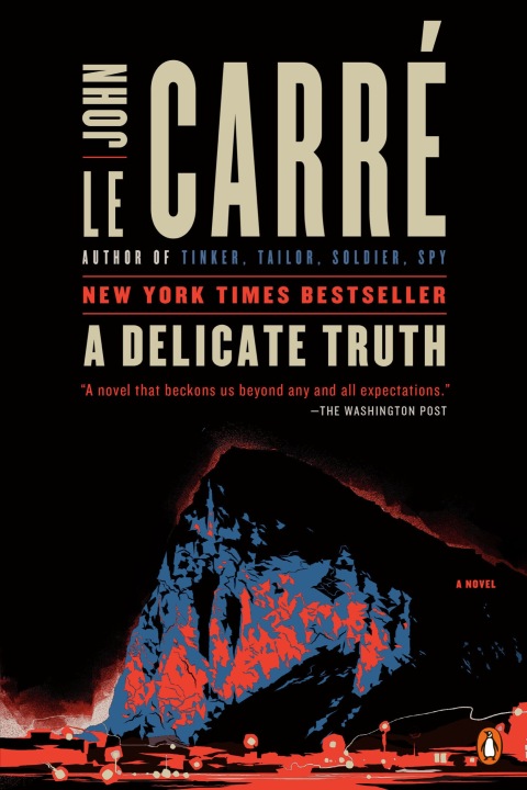 Cover image for book A Delicate Truth