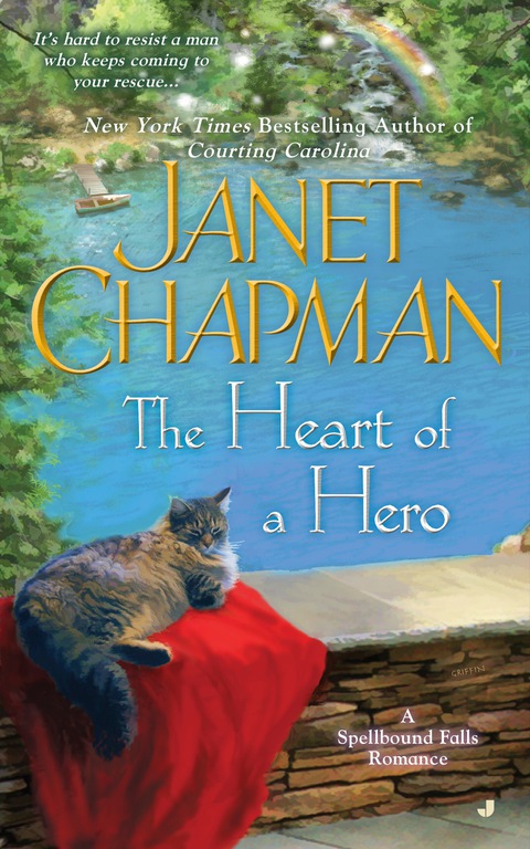 Cover image for book The Heart of a Hero