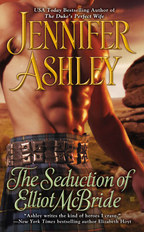 Cover image for book The Seduction of Elliot McBride